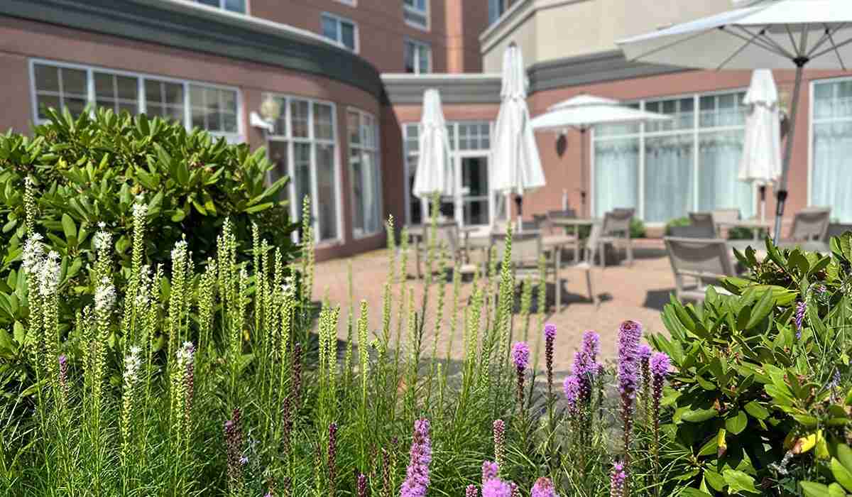 Affordable Wedding Venues in Maine